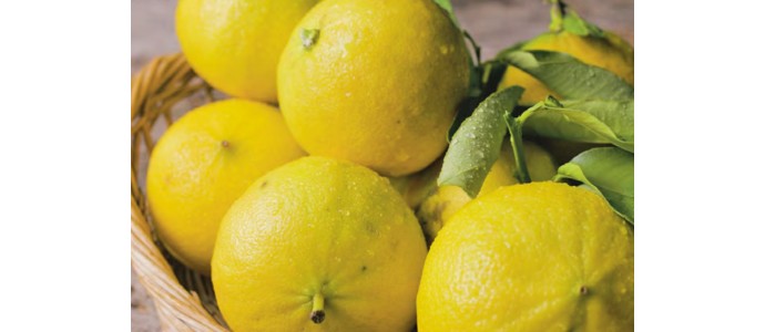 La bergamote de Nancy, le bonbon qui a tout bon
